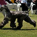 Cynthia Mauldin Photo 22