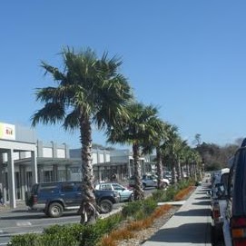 Anne Hughes Photo 45 Anne Hughes Photo 45