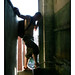 Jon Mills Photo 28