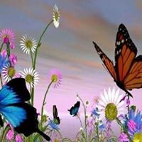 Cynthia Calvert Photo 16