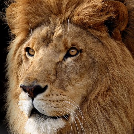 James Hauser Photo 42 James Hauser Photo 42