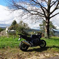 Patrick Scherer Photo 31