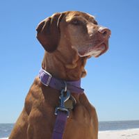 Kay Swanson Photo 13