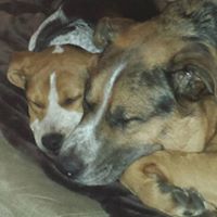 Colleen Wooten Photo 9