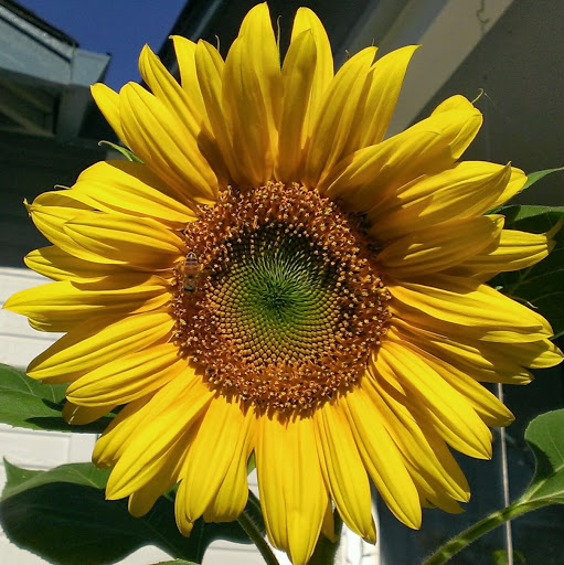 David Swanson Photo 20 David Swanson Photo 20