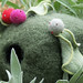 Heather Felts Photo 24