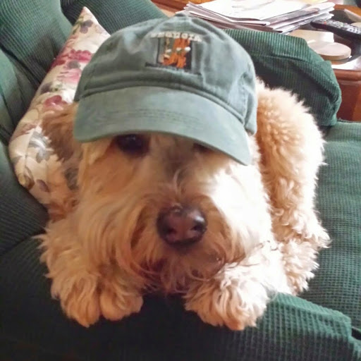 David Carpenter Photo 34 David Carpenter Photo 34