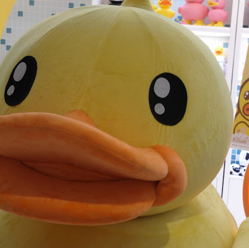 Helen Cheung Photo 24