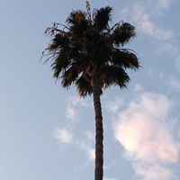 Bruce Meier Photo 25