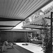 Beverly Thorne Photo 14