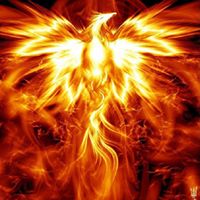 Coleen Brooks Photo 14