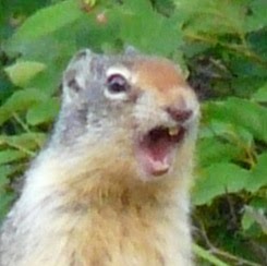 Patrick Rich Photo 44 Patrick Rich Photo 44