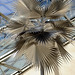 David Zink Photo 12