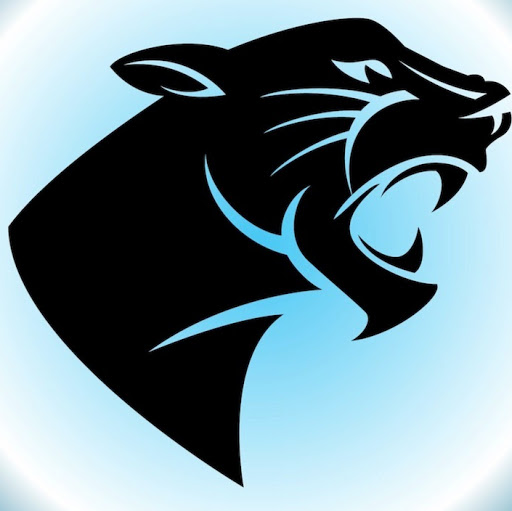 Daryl Stewart Photo 20