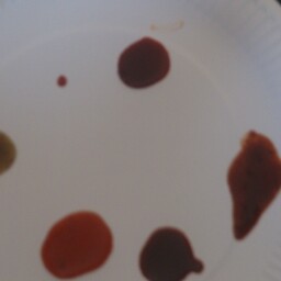 Louise Forbes Photo 17