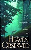 Heaven Observed: Glimpses Of Transcendence In Everyday Life