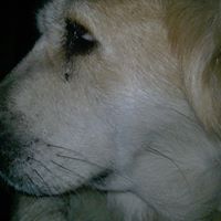 Betsy Joseph Photo 8