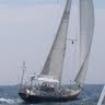 James Brittain Photo 34