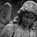 Angel Graves Photo 40