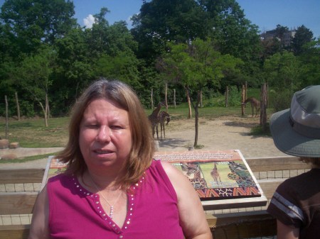 Debra Stone Photo 27