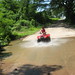 Cyndi Cross Photo 14