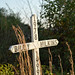 Billy Wilkins Photo 19
