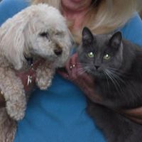 Dianne Upton Photo 3