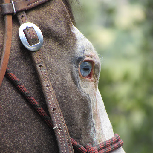 Cynthia Heath Photo 8