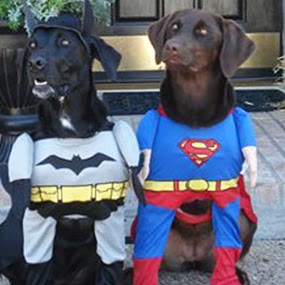 Sandra Terry Photo 12