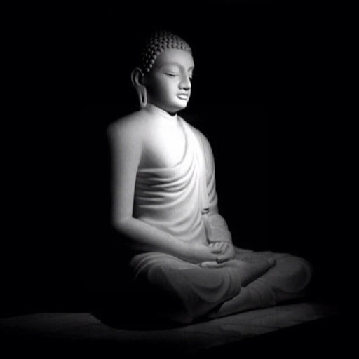 Adan Vasquez Photo 16