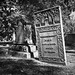 Elizabeth August Photo 25
