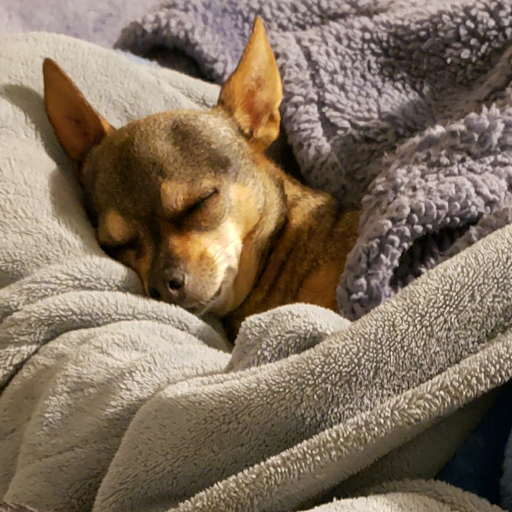 Tia Marshall Photo 13