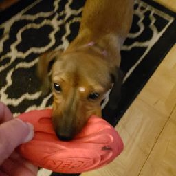 Vickie Meyer Photo 10