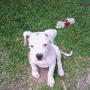 Shirley Miller Photo 6