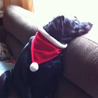 Nancy Painter Photo 26