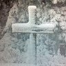 Connie Whalen Photo 16
