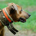 Annie Hunt Photo 20