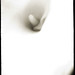 Lilly Chow Photo 14