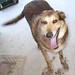 Eddie Chandler Photo 12