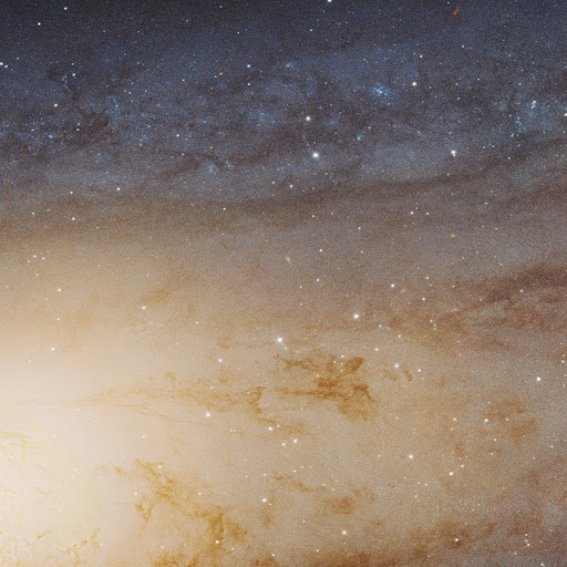 Michael Ziegler Photo 15