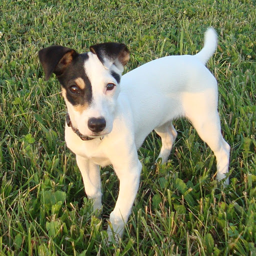 Julie Stratton Photo 28