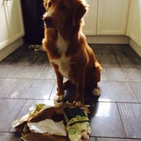 Angela Daniels Photo 19