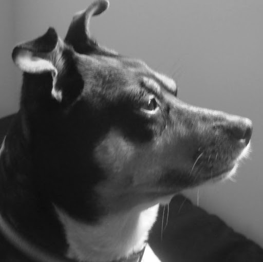 Ramiro Perez Photo 5