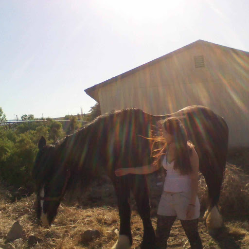Adela Ramirez Photo 7