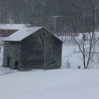 Cindy Hampton Photo 37