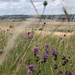 Mary Colwell Photo 14