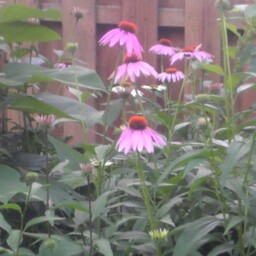 Janice O'Malley Photo 13