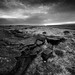 Adam Cross Photo 19