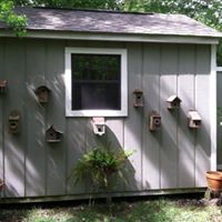 Brenda Hedrick Photo 11