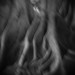Diana Root Photo 31